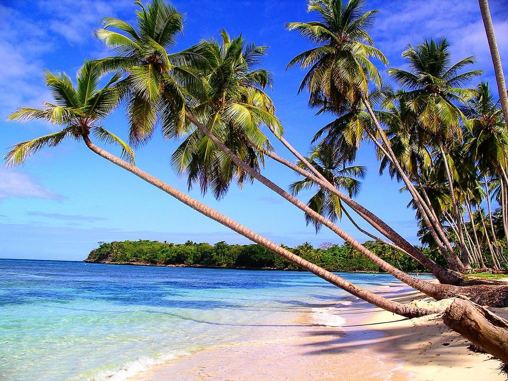 Mangoplaya Villa Deshaies Bagian luar foto