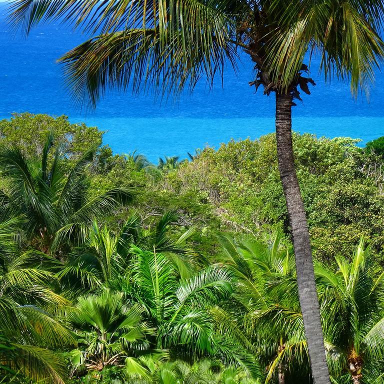 Mangoplaya Villa Deshaies Bagian luar foto
