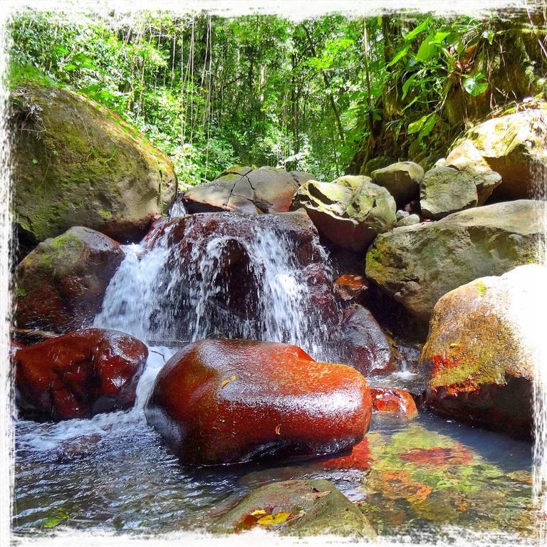 Mangoplaya Villa Deshaies Bagian luar foto