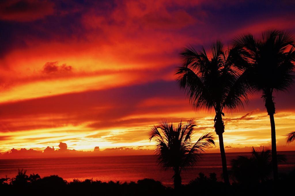 Mangoplaya Villa Deshaies Bagian luar foto