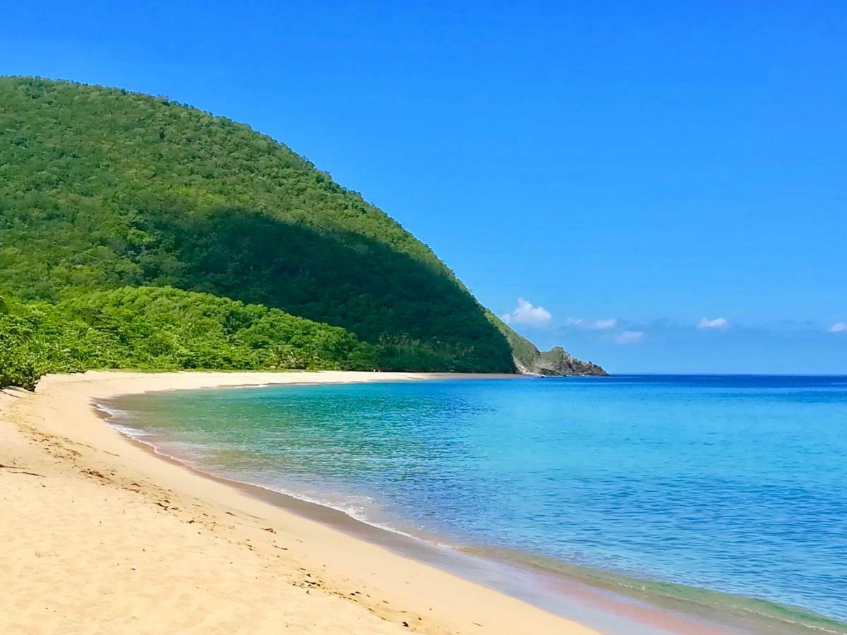 Mangoplaya Villa Deshaies Bagian luar foto