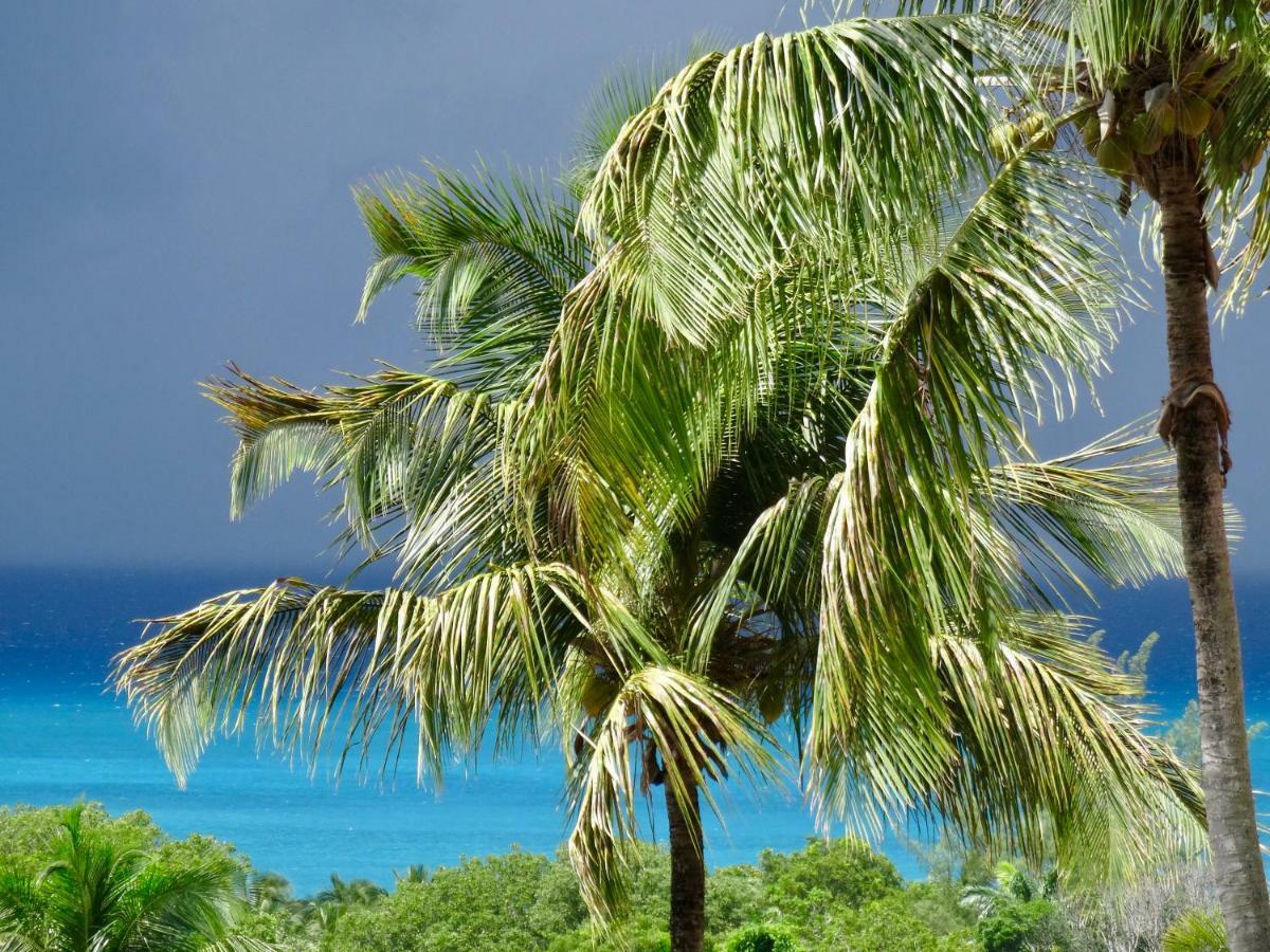 Mangoplaya Villa Deshaies Bagian luar foto
